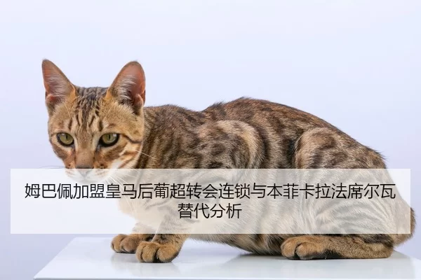 mu-ba-pei-jia-meng-huang-ma-hou-pu-chao-zhuan-hui-lian-suo-yu-ben-fei-ka-la-fa-xi-er-wa-ti-dai-fen-xi-2-578.jpg